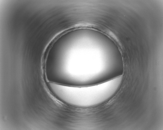 X0000068901124200605051134