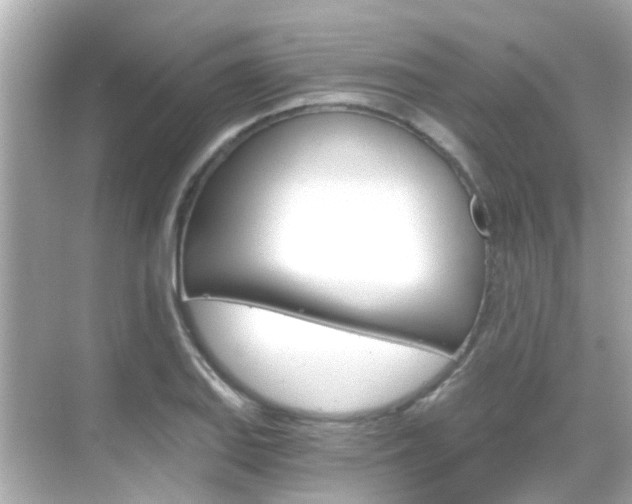 X0000068901127200605051134