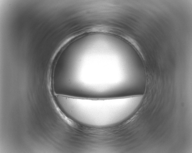X0000068901131200605051134