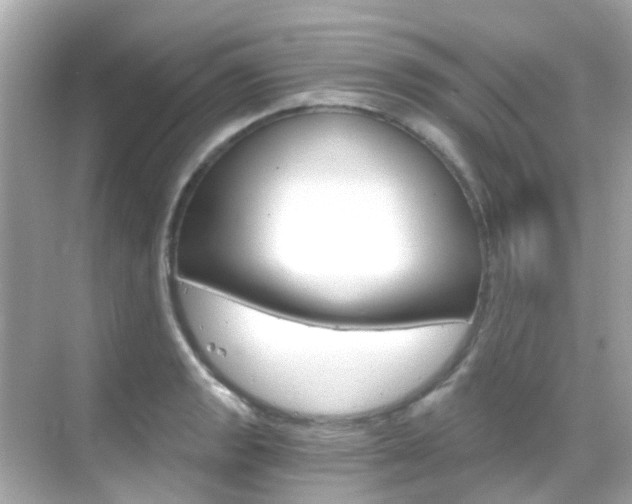X0000068901133200605051134