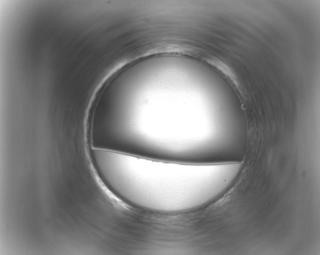 X0000068901135200605051134