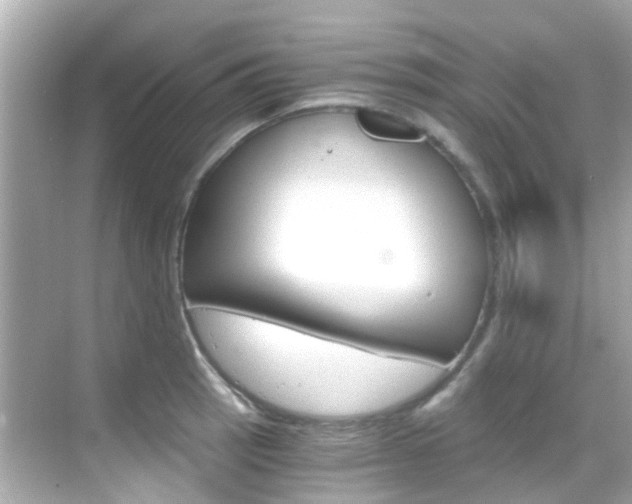 X0000068901137200605051134