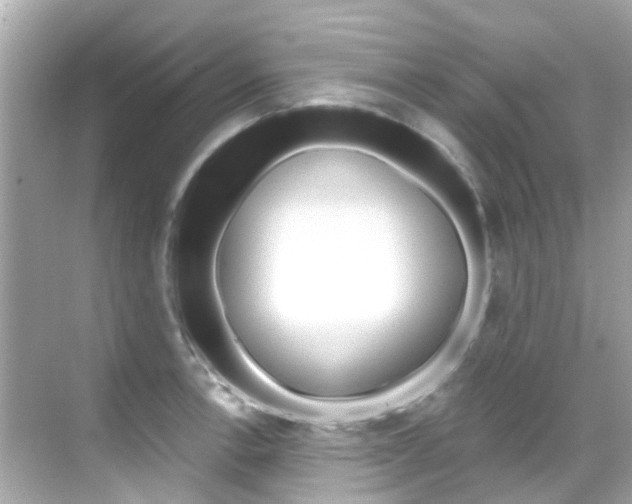 X0000068901138200605051134
