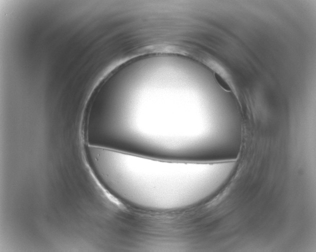 X0000068901141200605051134