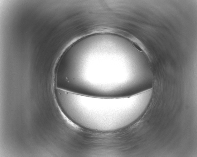 X0000068901143200605051134