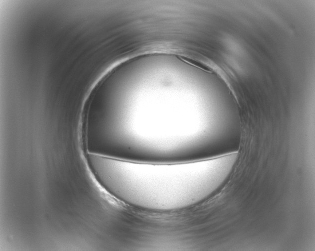 X0000068901147200605051134