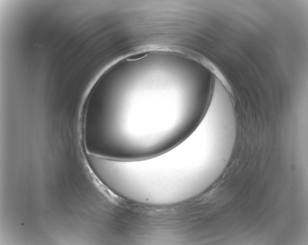 X0000068901148200605051134