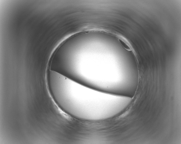 X0000068901149200605051134
