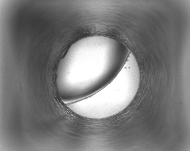 X0000068901153200605051133