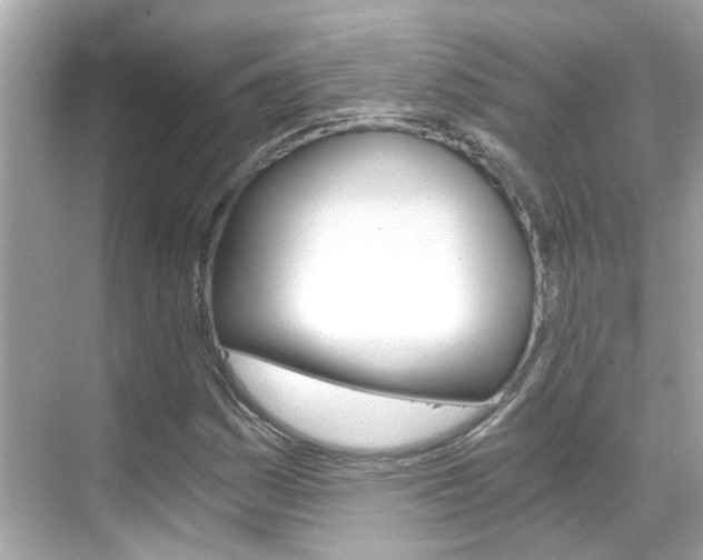 X0000068901161200605051133