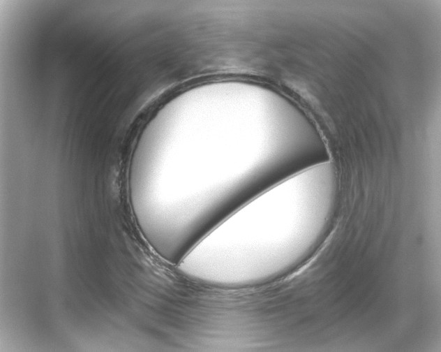 X0000068901163200605051133