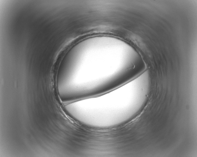 X0000068901164200605051133