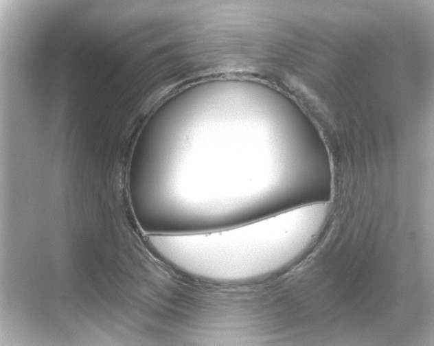 X0000068901169200605051133