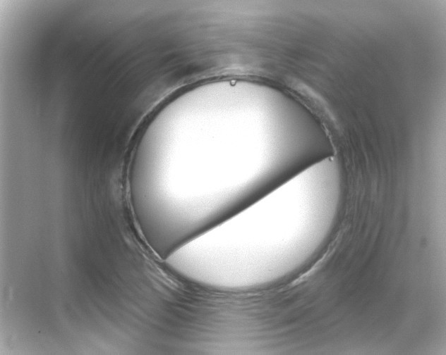 X0000068901170200605051133