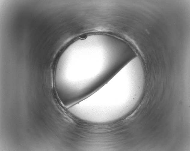 X0000068901171200605051133