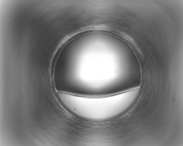 X0000068901176200605051133