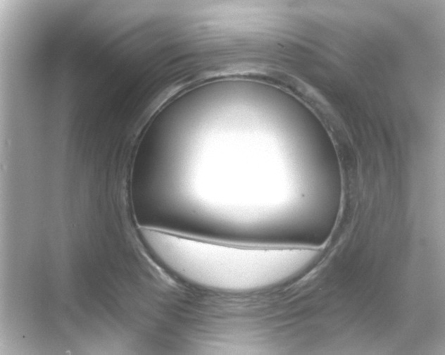 X0000068901177200605051133