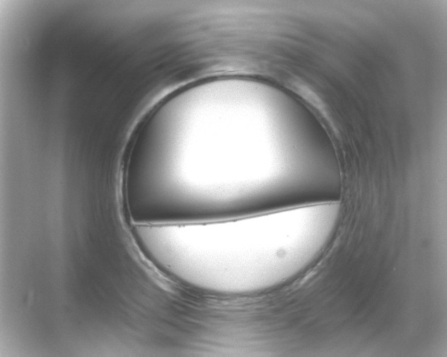 X0000068901179200605051133