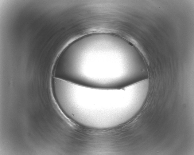 X0000068901187200605051133