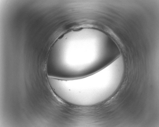 X0000068901193200605051133