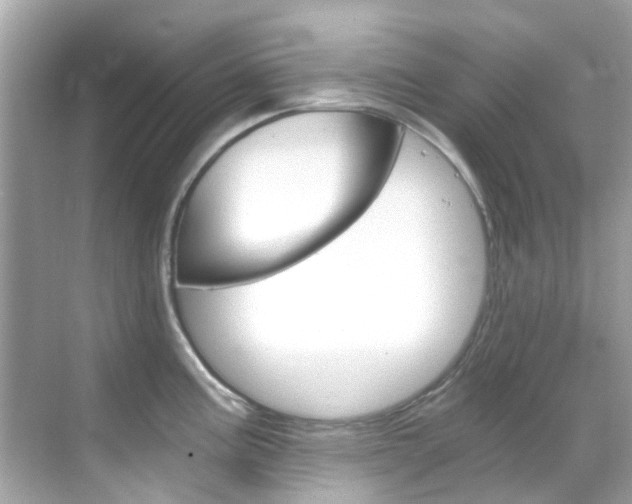 X0000068901195200605051133