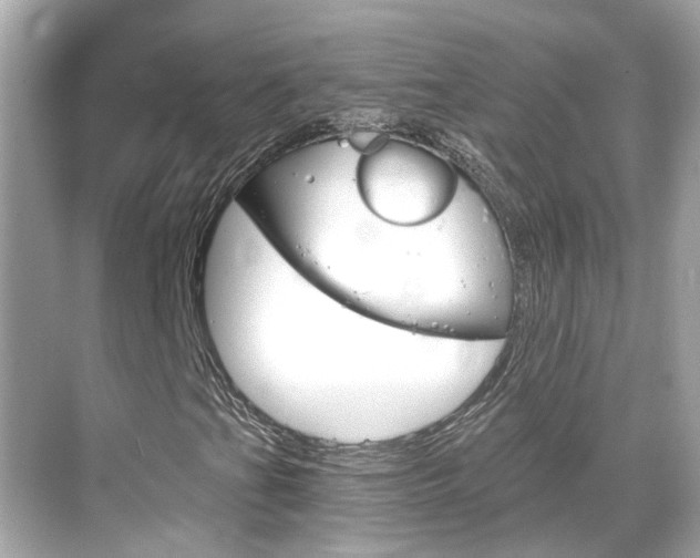 X0000068901201200605051132