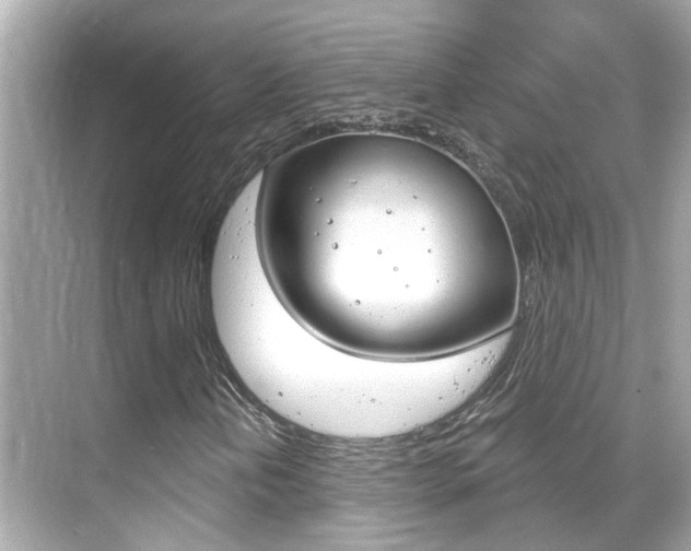 X0000068901202200605051132