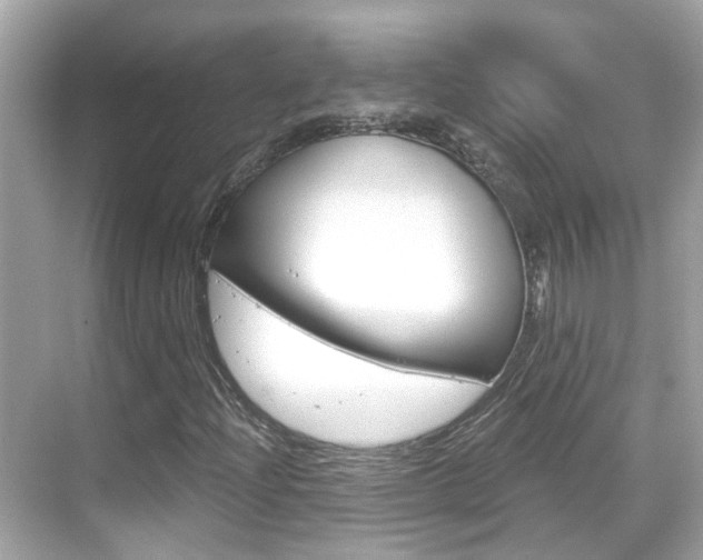 X0000068901204200605051132