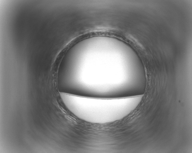 X0000068901208200605051132