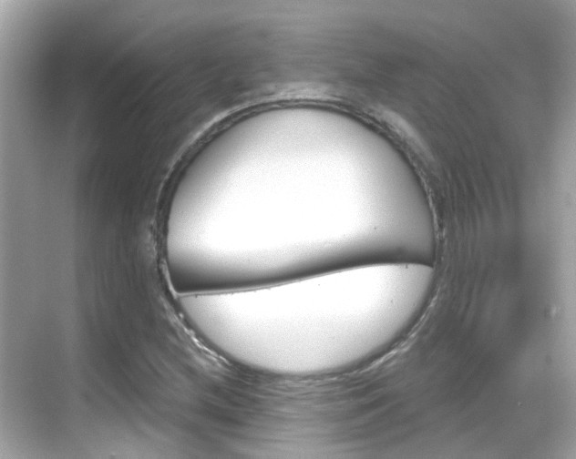 X0000068901212200605051132