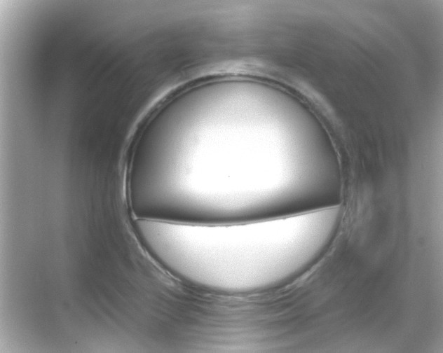 X0000068901224200605051132