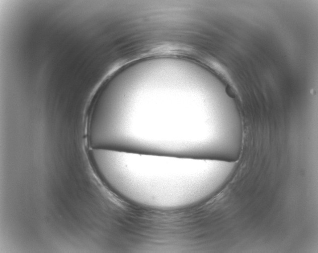 X0000068901227200605051132