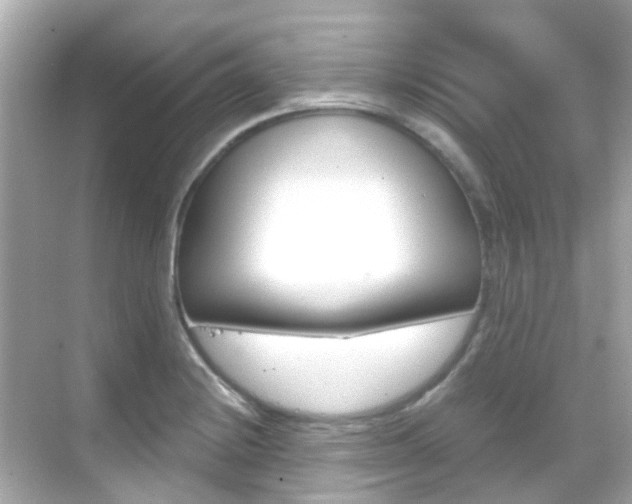 X0000068901228200605051132