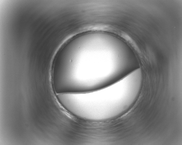 X0000068901232200605051132