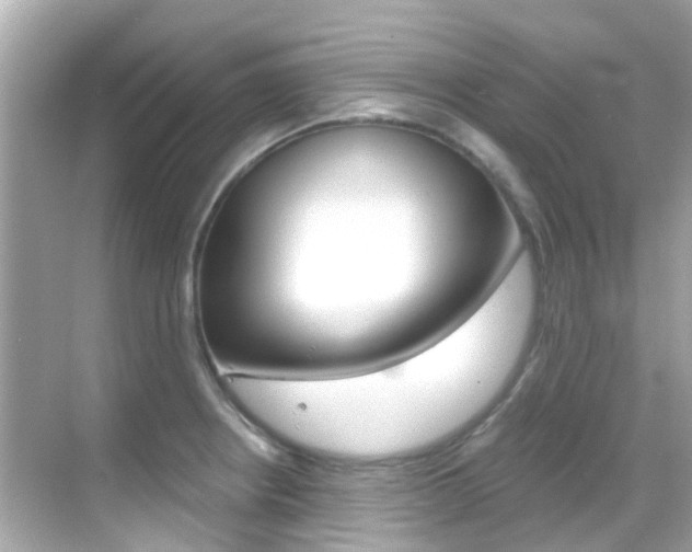 X0000068901234200605051132