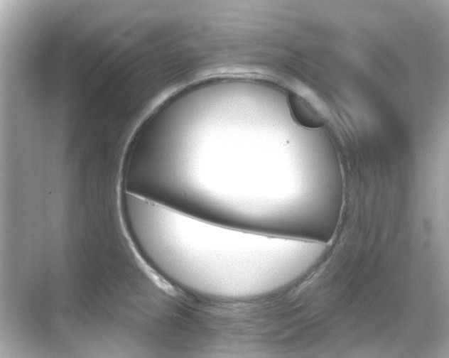 X0000068901237200605051132