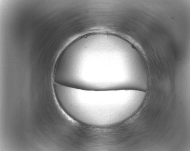 X0000068901239200605051133