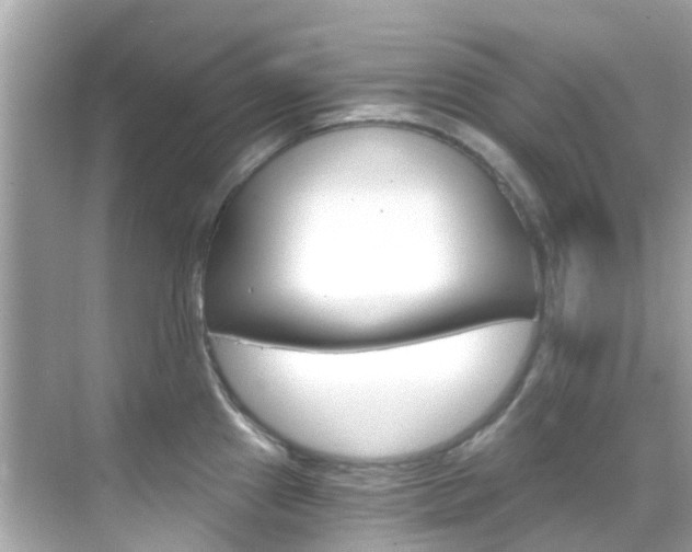 X0000068901241200605051133
