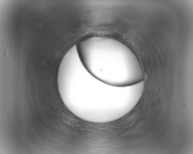 X0000068901251200605051132