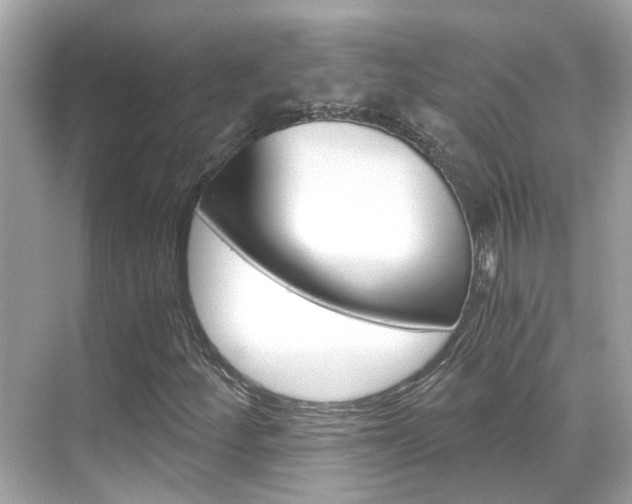 X0000068901252200605051132