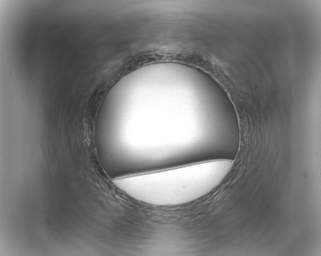 X0000068901253200605051132