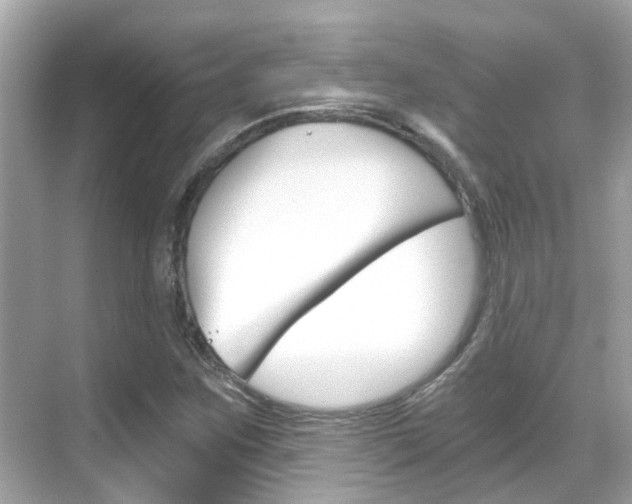 X0000068901259200605051132