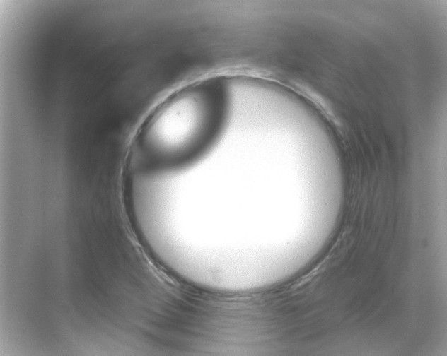 X0000068901264200605051132