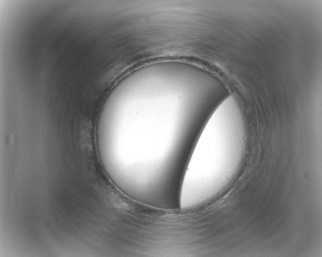X0000068901265200605051132