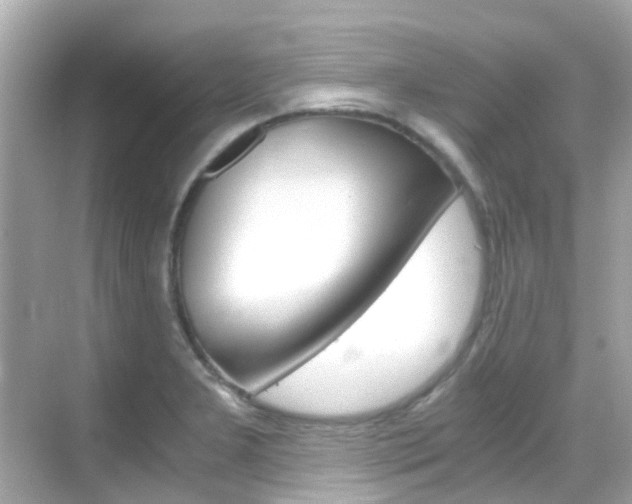 X0000068901277200605051131