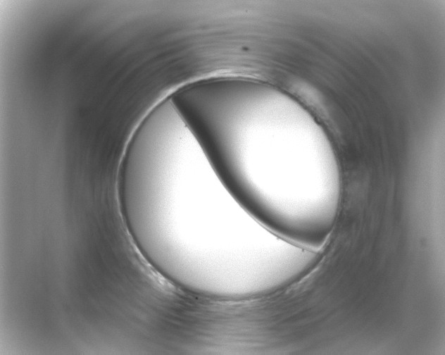 X0000068901284200605051131