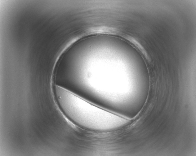 X0000068901285200605051131
