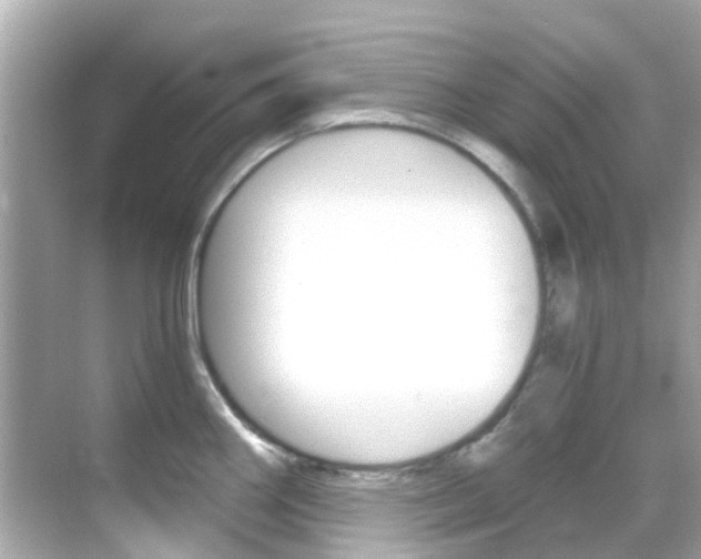 X0000068901290200605051131