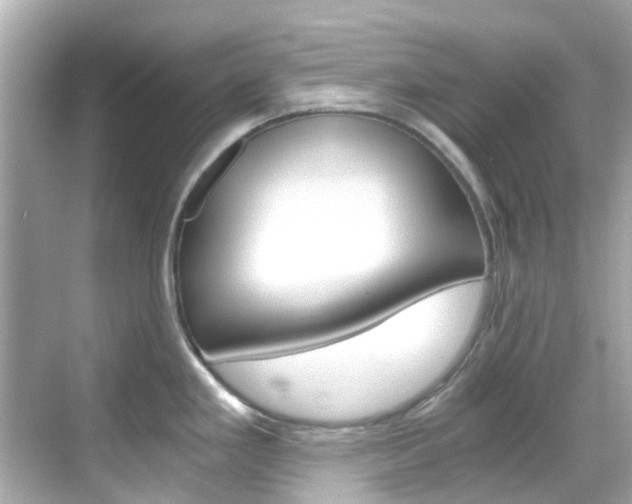 X0000068901293200605051131