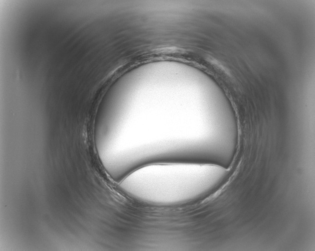 X0000068901305200605051130